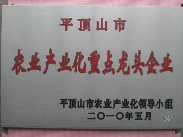 河南梨樹苗批發(fā)