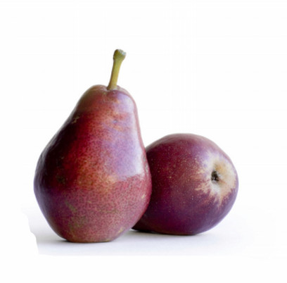 鄭州梨樹苗哪家好