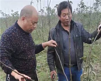 湖北客戶(hù)技術(shù)跟蹤指導(dǎo)